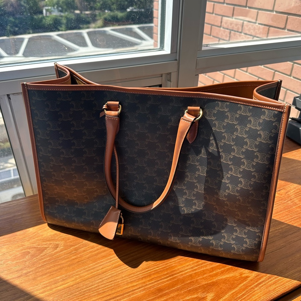 Celine Triomphe Canvas Horizontal Cabas Bag
